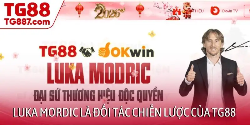 luka mordic là đối tác chiến lược của TG88