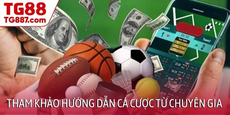 Tin tức